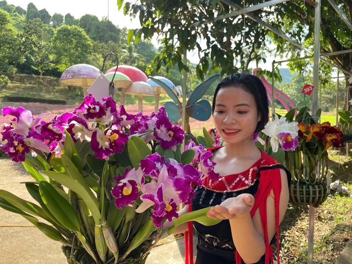 Ngắm kiệt tác thiên nhiên hoa lan mùa hạ tại Khánh Hòa- Ảnh 2. Ngắm kiệt tác thiên nhiên hoa lan mùa hạ tại Khánh Hòa- Ảnh 2.