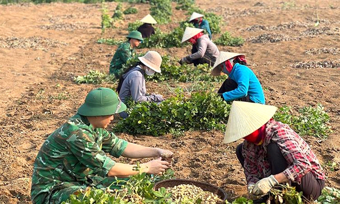 Lính biên phòng Quảng Trị về bản dựng nhà, gieo mạ cùng dân- Ảnh 5. Lính biên phòng Quảng Trị về bản dựng nhà, gieo mạ cùng dân- Ảnh 5.
