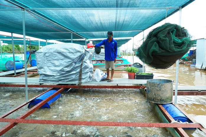 VIDEO: Ấn tượng 1.960 lồng bè nuôi cá sử dụng công nghệ AI ở Vĩnh Long - Ảnh 5.