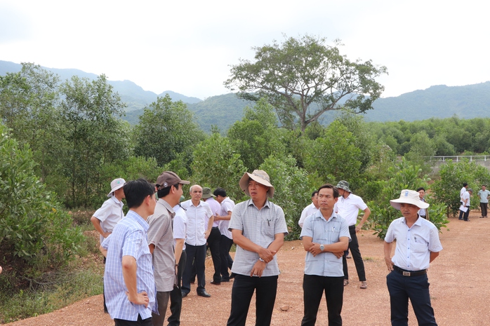 Dự án hồ chứa nước 291 tỉ ở Đà Nẵng: Quản lý yếu kém, gây lãng phí- Ảnh 2.