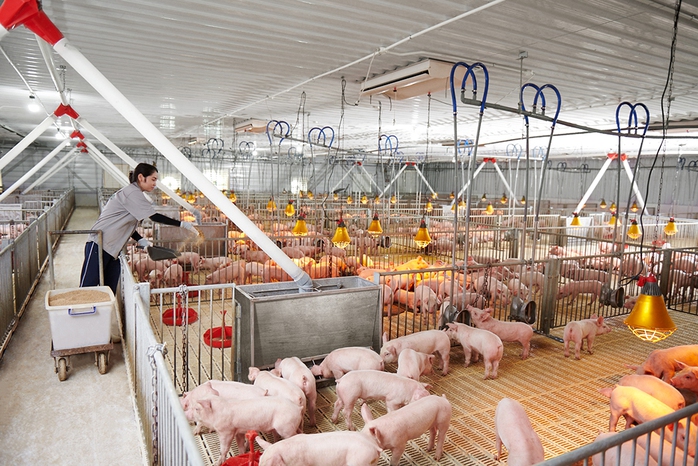 Tiềm năng phát điện từ khí sinh học - Ảnh 1. Tiềm năng phát điện từ khí sinh học - Ảnh 1.