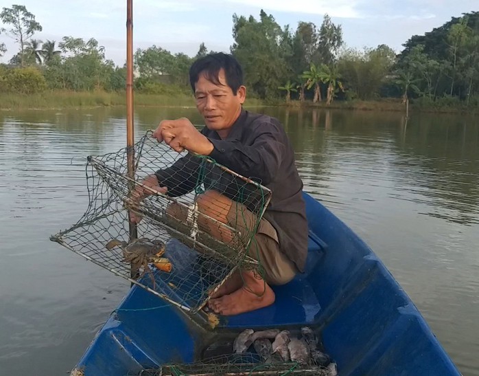 CLIP: Tuyệt chiêu chọn cua biển Cà Mau bao ngon - Ảnh 5.