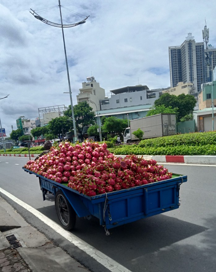 Vô tư chạy ngược chiều- Ảnh 1.