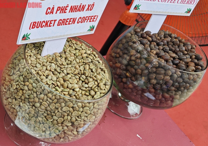 Giá cà phê hôm nay 25 - 9 - Ảnh 2.
