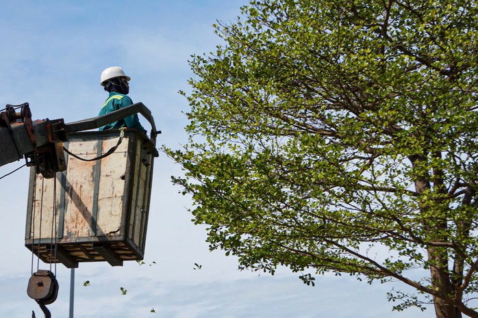 Đà Nẵng yêu cầu siết chặt ứng phó bão Bualoi, lãnh đạo chủ quan sẽ bị kiểm điểm- Ảnh 2.