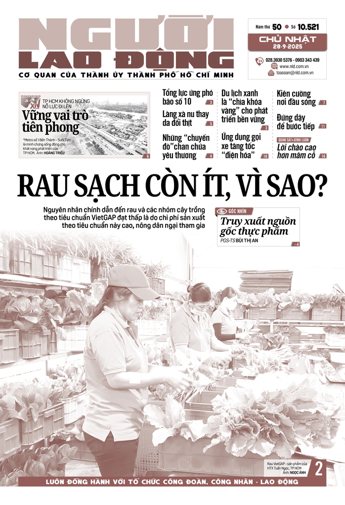 Báo in ngày 28-9: Rau sạch còn ít, vì sao? - Ảnh 1.