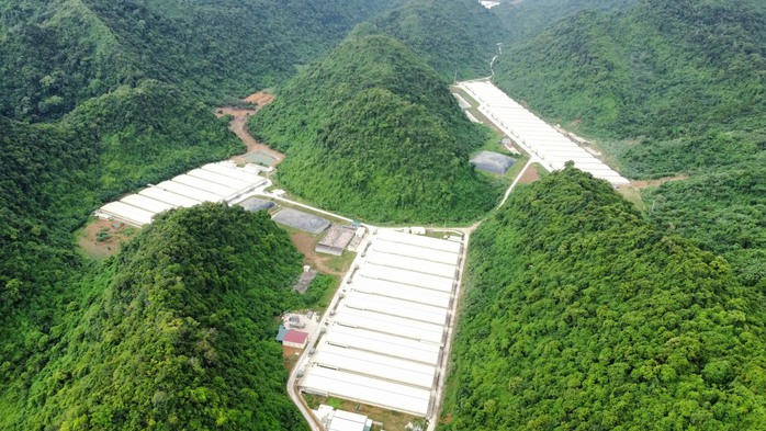 Chuyển đổi xanh để phát triển bền vững - Ảnh 1.