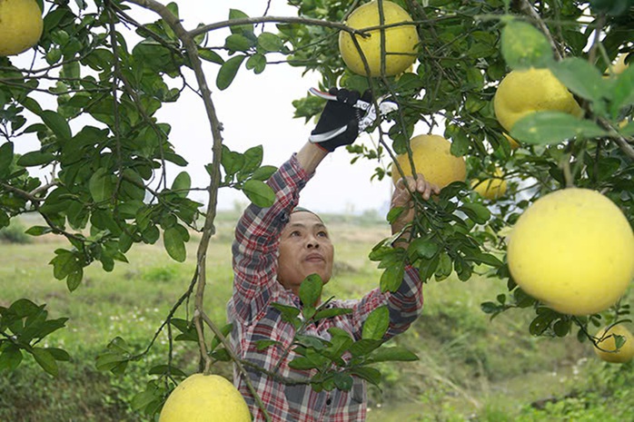 Chuyển đổi xanh để phát triển bền vững - Ảnh 2.