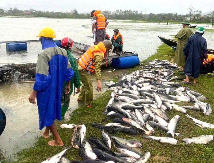 Mưa lớn do bão số 10 gây sạt lở và thiệt hại nặng nề ở Hà Tĩnh - Ảnh 1. Mưa lớn do bão số 10 gây sạt lở và thiệt hại nặng nề ở Hà Tĩnh - Ảnh 1.