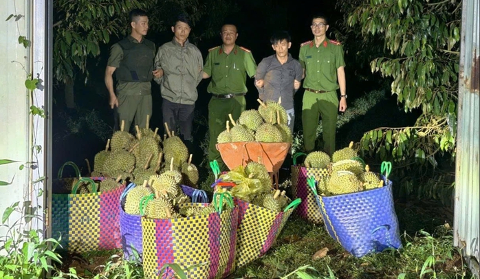 Hai thanh niên mang cả ô tô đi trộm cắp sầu riêng - Ảnh 1.