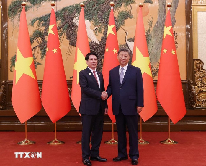 Chủ tịch nước Lương Cường hội đàm với Tổng Bí thư, Chủ tịch nước Trung Quốc Tập Cận Bình - Ảnh 4.