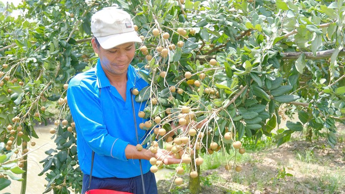 Sản xuất sạch mang lại giá trị cao- Ảnh 1.