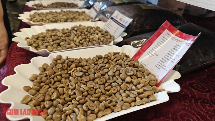 Giá cà phê hôm nay 4 - 9: Robusta tăng , Mexico mua cà phê Việt 90 lần - Ảnh 2. Giá cà phê hôm nay 4 - 9: Robusta tăng , Mexico mua cà phê Việt 90 lần - Ảnh 2.