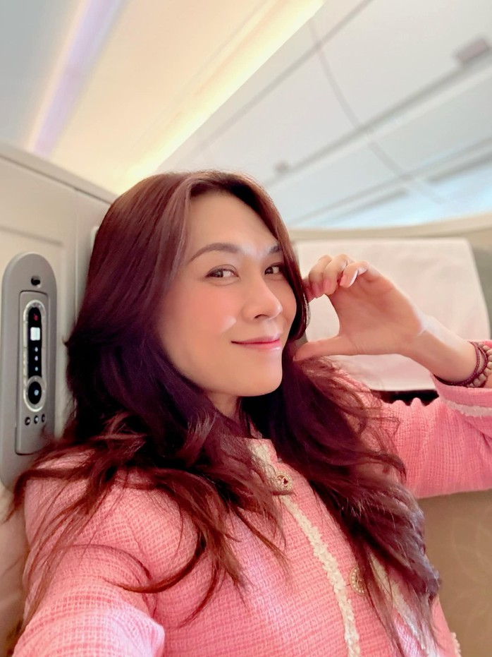 Nhan sắc Mỹ Tâm - Ảnh 2.