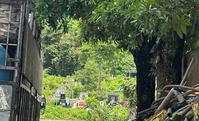 Phát hiện thi thể đang phân hủy trong nghĩa trang - Ảnh 1.