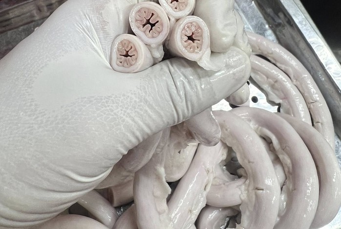 3 tháng sau vụ lòng se điếu gây tranh cãi, Lòng "Chát" quán đóng cửa cơ sở gần 10 năm- Ảnh 3. 3 tháng sau vụ lòng se điếu gây tranh cãi, Lòng "Chát" quán đóng cửa cơ sở gần 10 năm- Ảnh 3.
