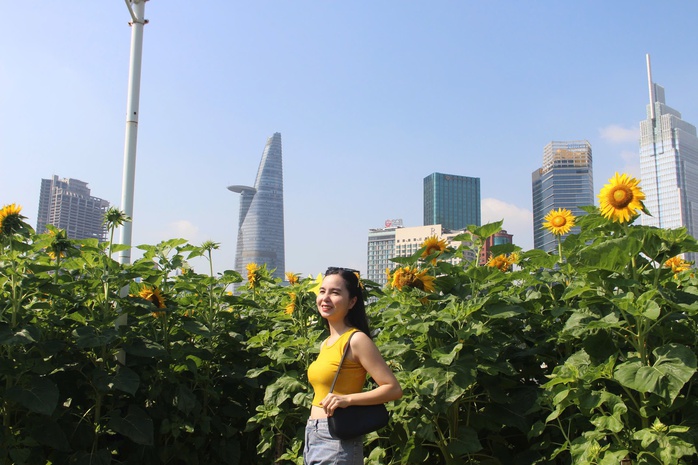 C&aacute;nh đồng hoa hướng dương ở TP HCM thu h&uacute;t người d&acirc;n dịp đầu năm mới - Ảnh 7.