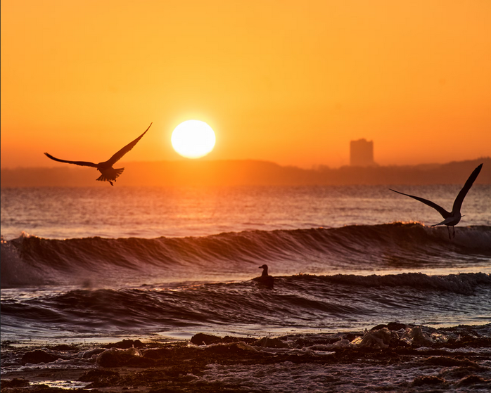 Đại dương thế giới lập kỷ lục đ&aacute;ng lo - Ảnh 1.