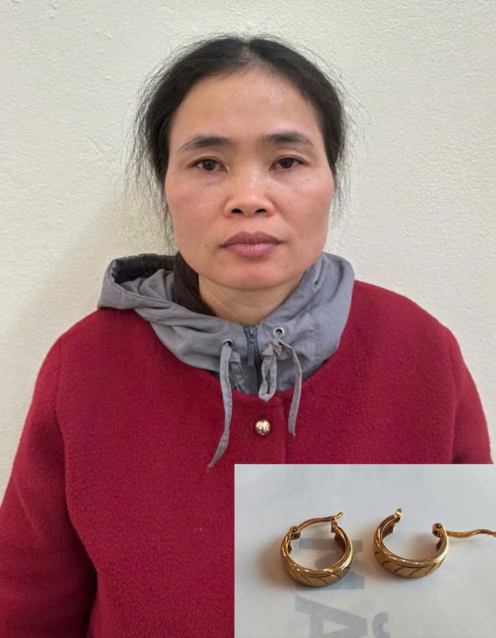 Ch&aacute;u d&acirc;u s&aacute;t hại b&agrave; rồi cướp đ&ocirc;i b&ocirc;ng tai - Ảnh 2.