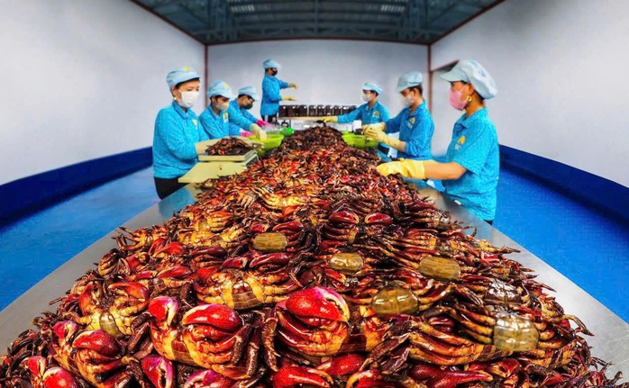 Sản phẩm OCOP đ&oacute;n đầu thị trường Tết - Ảnh 2.