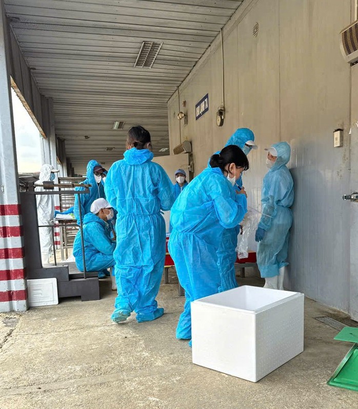 Hải Ph&ograve;ng siết chặt kiểm so&aacute;t Sau vụ thịt nhiễm dịch tả heo tại C&ocirc;ng ty CP đồ hộp Hạ Long - Ảnh 3.