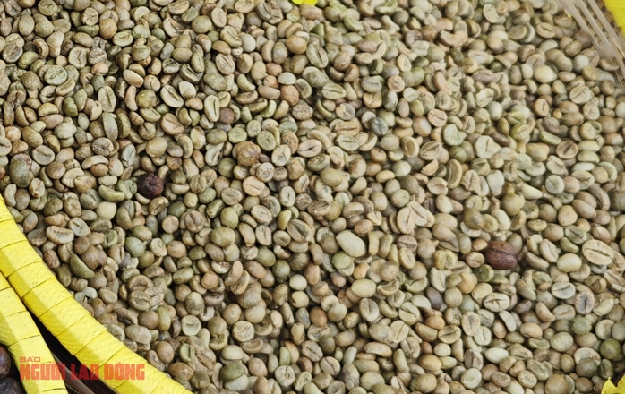Giá cà phê hôm nay 14 - 1: Tăng giá đồng loạt , Brazil xuất khẩu giảm sâu - Ảnh 2. Giá cà phê hôm nay 14 - 1: Tăng giá đồng loạt , Brazil xuất khẩu giảm sâu - Ảnh 2.