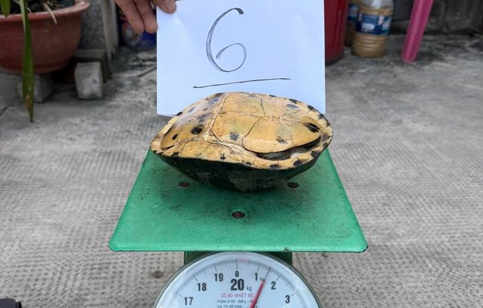 C&ocirc;ng an TPHCM bắt nh&oacute;m trộm cắp con r&ugrave;a tại ch&ugrave;a Tri&ecirc;m Phước - Ảnh 2.