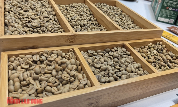 Gi&aacute; c&agrave; ph&ecirc; h&ocirc;m nay 15 - 1: Robusta giảm mạnh , thị trường s&ocirc;i động - Ảnh 2.
