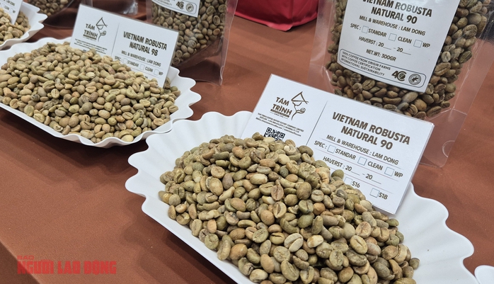 Gi&aacute; c&agrave; ph&ecirc; h&ocirc;m nay 16 - 1: Robusta vượt 4 . 000 USD / tấn , tăng li&ecirc;n tiếp 4 phi&ecirc;n - Ảnh 2.