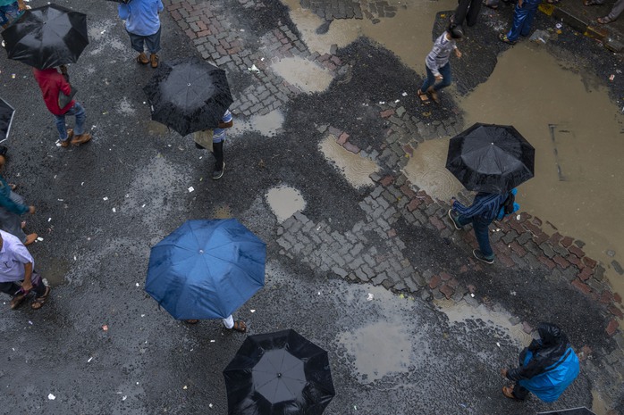 D&ugrave;ng AI "săn" ổ g&agrave; tr&ecirc;n đường tại Ấn Độ - Ảnh 1.