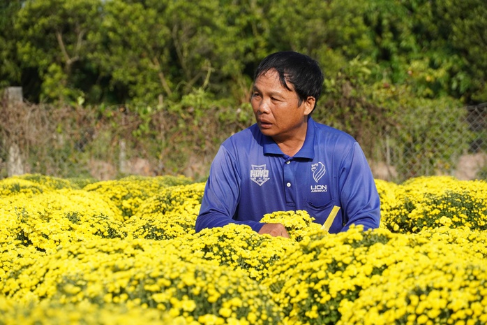 N&ocirc;ng d&acirc;n Sa Đ&eacute;c lo lắng v&igrave; hoa c&uacute;c nở sớm bất thường trước Tết B&iacute;nh Ngọ 2026 - Ảnh 2.