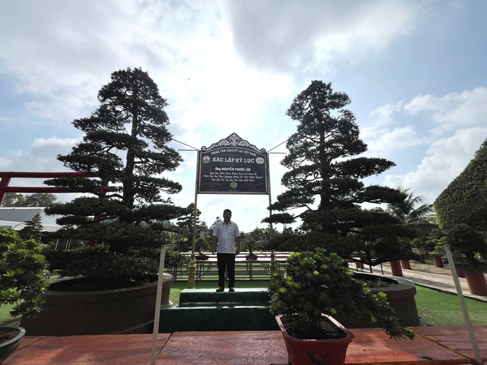 CLIP: Bảo t&agrave;ng bonsai bạc tỉ ở Sa Đ&eacute;c, tỉnh Đồng Th&aacute;p - Ảnh 2.