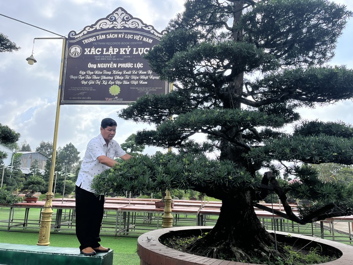 CLIP: Bảo t&agrave;ng bonsai bạc tỉ ở Sa Đ&eacute;c, tỉnh Đồng Th&aacute;p - Ảnh 1.