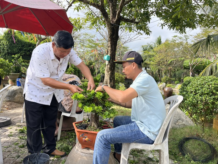 CLIP: Bảo t&agrave;ng bonsai bạc tỉ ở Sa Đ&eacute;c, tỉnh Đồng Th&aacute;p - Ảnh 3.