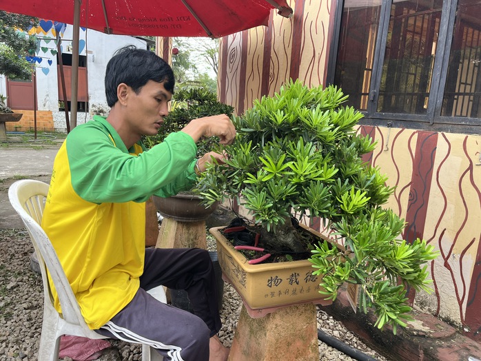 CLIP: Bảo t&agrave;ng bonsai bạc tỉ ở Sa Đ&eacute;c, tỉnh Đồng Th&aacute;p - Ảnh 4.