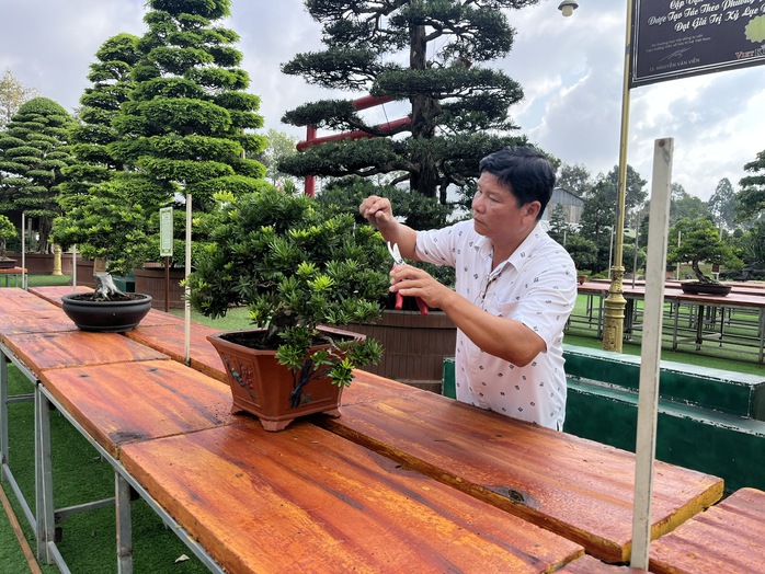 CLIP: Bảo t&agrave;ng bonsai bạc tỉ ở Sa Đ&eacute;c, tỉnh Đồng Th&aacute;p - Ảnh 5.
