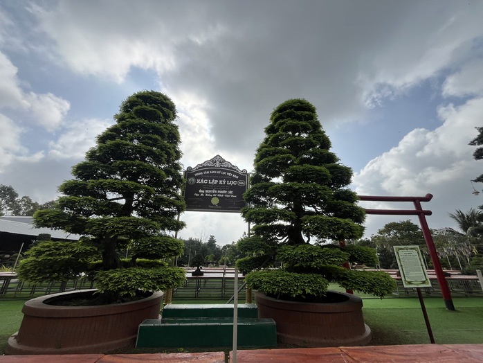 CLIP: Bảo t&agrave;ng bonsai bạc tỉ ở Sa Đ&eacute;c, tỉnh Đồng Th&aacute;p - Ảnh 7.