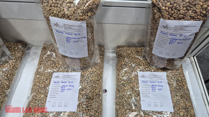 Gi&aacute; c&agrave; ph&ecirc; h&ocirc;m nay 2 - 1: Dự b&aacute;o gi&aacute; c&agrave; ph&ecirc; hồi phục l&ecirc;n 5 . 000 USD / tấn - Ảnh 2.