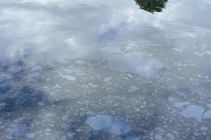 X&aacute;c minh vết dầu loang tr&ecirc;n s&ocirc;ng Cu Đ&ecirc; ở Đ&agrave; Nẵng - Ảnh 1.