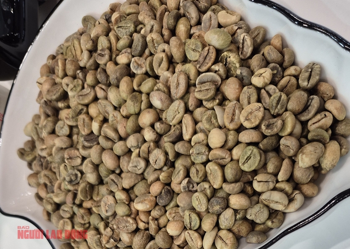 Gi&aacute; c&agrave; ph&ecirc; h&ocirc;m nay 20 - 1: Tăng nhẹ với Robusta trong bối cảnh thị trường - Ảnh 2.