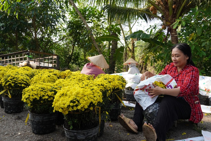 Cộng đồng hỗ trợ ti&ecirc;u thụ c&uacute;c m&acirc;m x&ocirc;i nở sớm cho nh&agrave; vườn miền T&acirc;y - Ảnh 2.