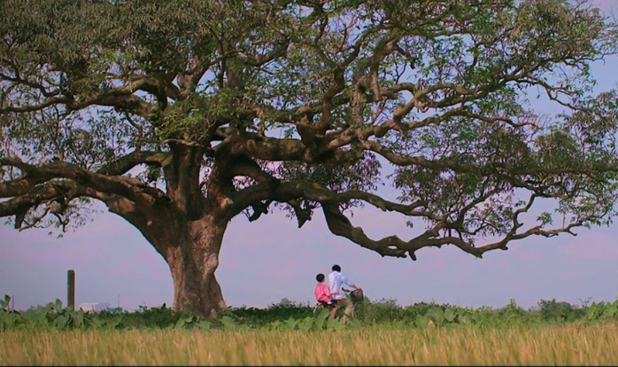 VTV l&ecirc;n s&oacute;ng giờ v&agrave;ng d&ograve;ng phim chất lượng cao Miniseries - Ảnh 4.