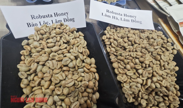Gi&aacute; c&agrave; ph&ecirc; h&ocirc;m nay 22 - 1: Robusta tăng vọt 3 con số bất ngờ - Ảnh 2.