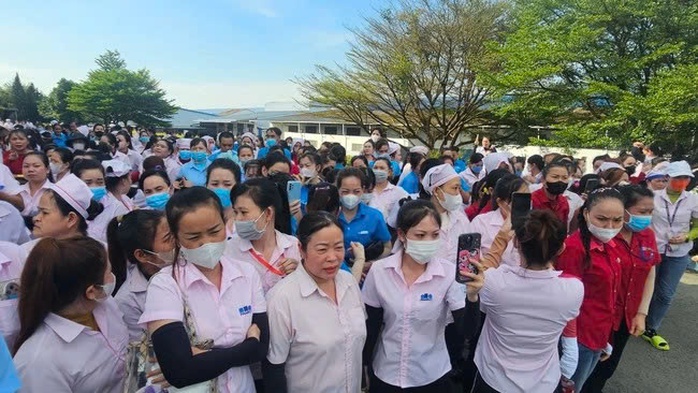 Đảm bảo quyền lợi về BHXH cho người lao động tại Công ty TNHH Panko Vina - Ảnh 1.