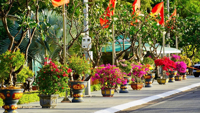 Điểm nhấn kinh tế và văn hóa trên Đường cờ Tổ quốc - Đường hoa Côn Đảo - Ảnh 6. Điểm nhấn kinh tế và văn hóa trên Đường cờ Tổ quốc - Đường hoa Côn Đảo - Ảnh 6.