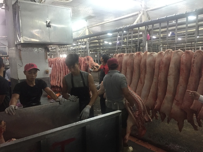 Gi&aacute; heo hơi h&ocirc;m nay, 24-1: Gi&aacute; heo mảnh tại chợ đầu mối tăng mạnh - Ảnh 1.