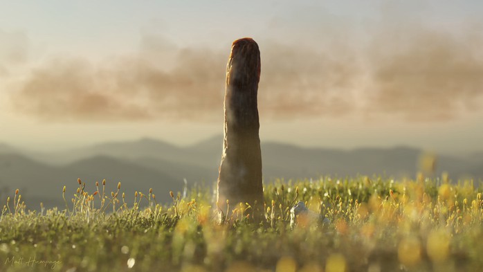 Một nh&aacute;nh mới của sự sống Tr&aacute;i Đất vừa lộ diện? - Ảnh 1.