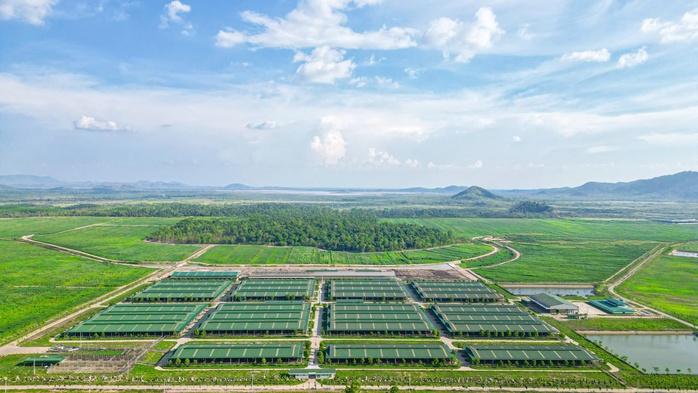 Hệ sinh thái nông nghiệp tuần hoàn "độc đáo" - Ảnh 1. Hệ sinh thái nông nghiệp tuần hoàn "độc đáo" - Ảnh 1.