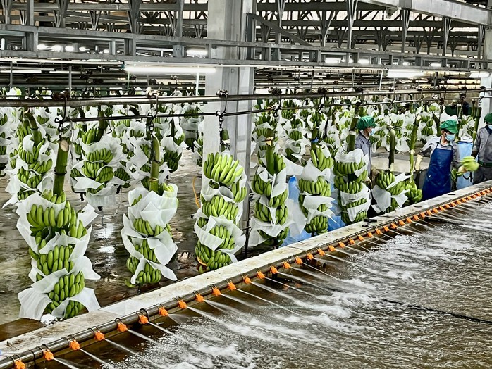 Hệ sinh thái nông nghiệp tuần hoàn "độc đáo" - Ảnh 2.