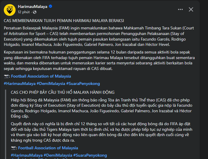 7 cầu thủ nhập tịch "lậu" của Malaysia tạm tho&aacute;t &aacute;n phạt - Ảnh 1.